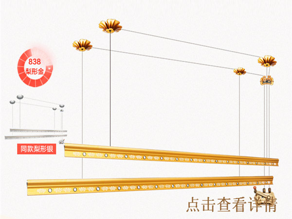 梨形金838